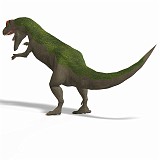 Allosaurus 07 A_0001